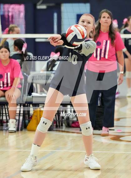 Thumbnail 3 in FR: Chatfield @ Columbine photogallery.