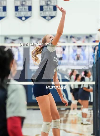 Thumbnail 2 in FR: Chatfield @ Columbine photogallery.