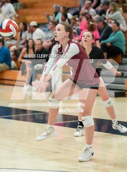 Thumbnail 1 in FR: Chatfield @ Columbine photogallery.