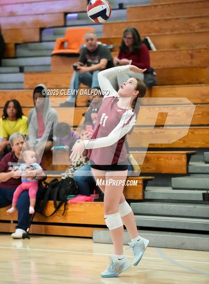 Thumbnail 2 in FR: Chatfield @ Columbine photogallery.