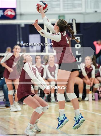 Thumbnail 2 in FR: Chatfield @ Columbine photogallery.