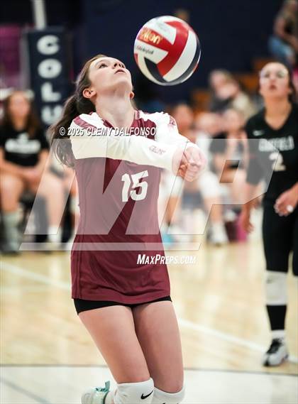 Thumbnail 3 in FR: Chatfield @ Columbine photogallery.