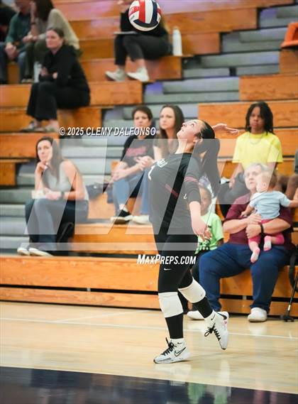 Thumbnail 3 in FR: Chatfield @ Columbine photogallery.