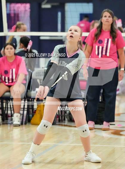 Thumbnail 1 in FR: Chatfield @ Columbine photogallery.