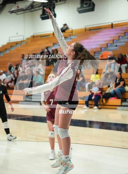 Thumbnail 2 in FR: Chatfield @ Columbine photogallery.