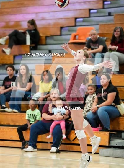 Thumbnail 2 in FR: Chatfield @ Columbine photogallery.