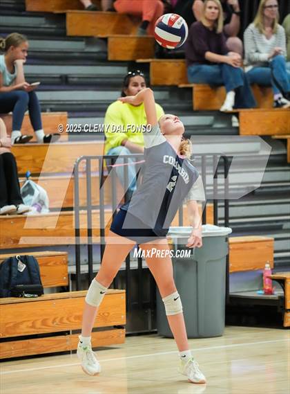 Thumbnail 2 in FR: Chatfield @ Columbine photogallery.