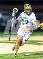 Photo from the gallery "Apex @ Pinecrest"