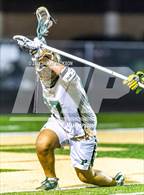 Photo from the gallery "Apex @ Pinecrest"