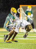 Photo from the gallery "Apex @ Pinecrest"