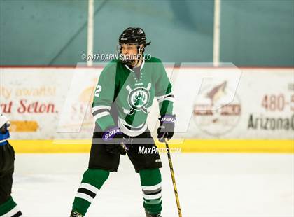Thumbnail 1 in Basha Perry vs O'Conner (AHSHA Division 1 Quarterfinal)  photogallery.
