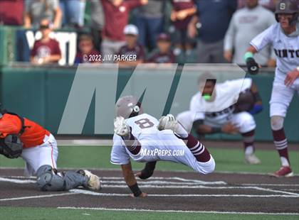 Thumbnail 1 in Sinton vs. Celina (UIL 4A Baseball Semifinal) photogallery.