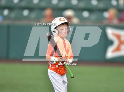 Thumbnail 2 in Sinton vs. Celina (UIL 4A Baseball Semifinal) photogallery.
