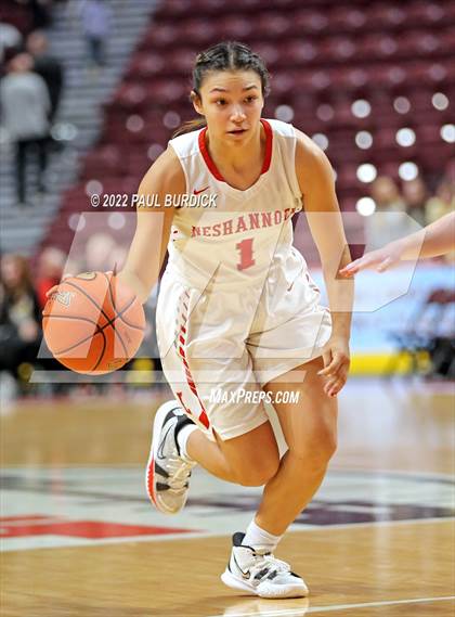 Thumbnail 3 in Neshannock @ Southern Columbia Area (PIAA 2A Championship) photogallery.