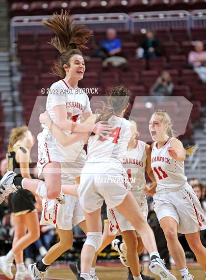 Thumbnail 1 in Neshannock @ Southern Columbia Area (PIAA 2A Championship) photogallery.