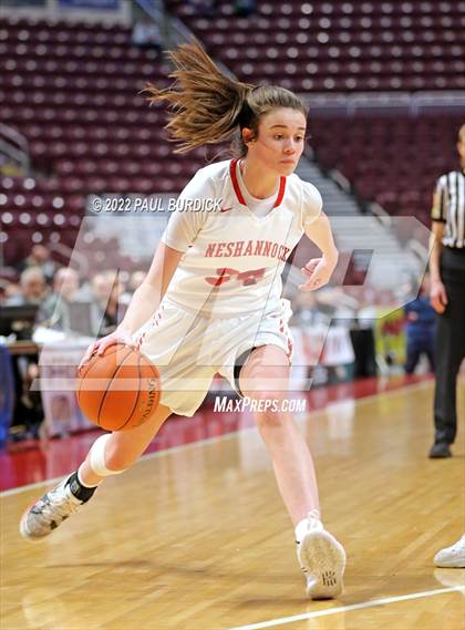 Thumbnail 1 in Neshannock @ Southern Columbia Area (PIAA 2A Championship) photogallery.