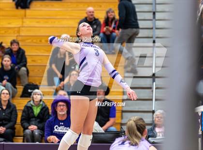 Thumbnail 3 in Fossil Ridge @ Fort Collins photogallery.