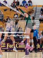 Photo from the gallery "Fossil Ridge @ Fort Collins"