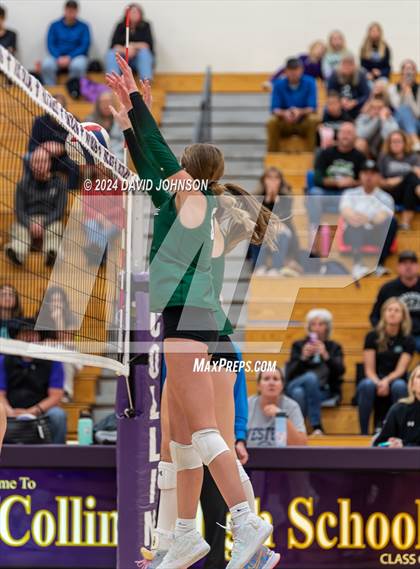 Thumbnail 3 in Fossil Ridge @ Fort Collins photogallery.