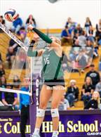 Photo from the gallery "Fossil Ridge @ Fort Collins"