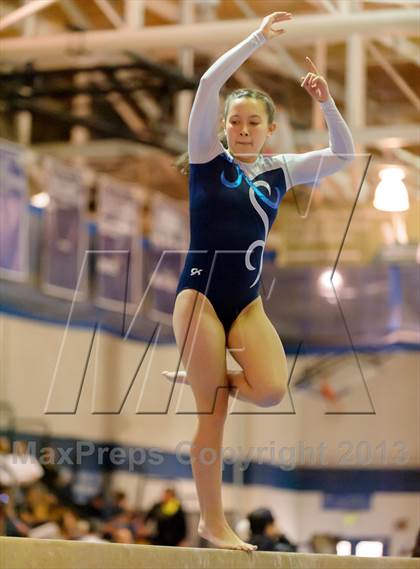Thumbnail 1 in CHSAA 4A State Gymnastics Championships photogallery.