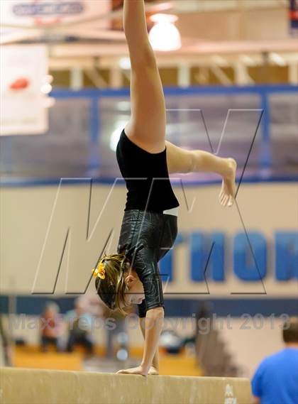 Thumbnail 3 in CHSAA 4A State Gymnastics Championships photogallery.