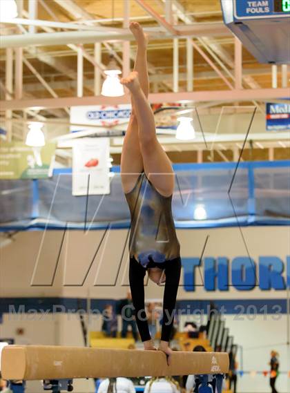 Thumbnail 1 in CHSAA 4A State Gymnastics Championships photogallery.