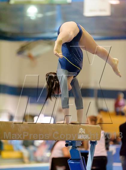 Thumbnail 1 in CHSAA 4A State Gymnastics Championships photogallery.