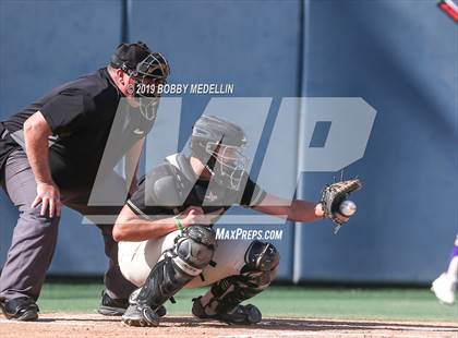 Thumbnail 2 in Liberty vs. Minarets (CIF D5 Final) photogallery.