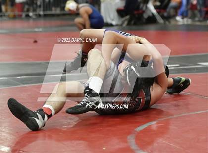 Thumbnail 1 in Hoover vs Wilson & Long Beach Poly & Elsinore (CIF Southern Section Wrestling Championships) photogallery.