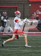 Photo from the gallery "Lambert @ Milton"