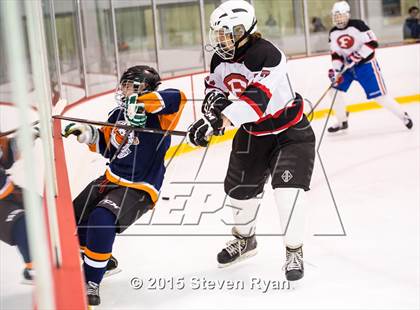 Thumbnail 3 in Friends Academy @ Levittown (Liberty Division Championship) photogallery.