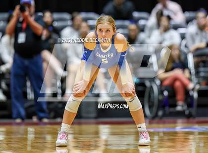 Thumbnail 3 in Gunter vs. Bushland (UIL 3A Volleyball Final) photogallery.