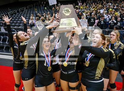 Thumbnail 1 in Gunter vs. Bushland (UIL 3A Volleyball Final) photogallery.