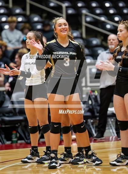 Thumbnail 2 in Gunter vs. Bushland (UIL 3A Volleyball Final) photogallery.
