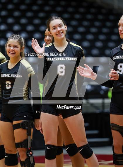 Thumbnail 1 in Gunter vs. Bushland (UIL 3A Volleyball Final) photogallery.