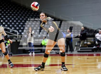 Thumbnail 1 in Gunter vs. Bushland (UIL 3A Volleyball Final) photogallery.