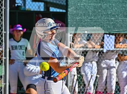 Thumbnail 1 in Ralston Valley vs Bear Creek photogallery.