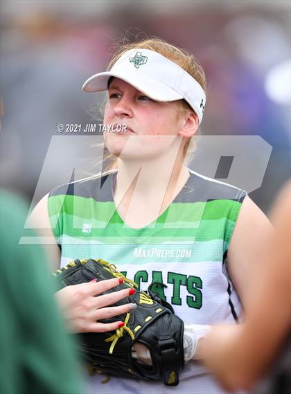 Thumbnail 3 in Santo @ Mineral Wells photogallery.