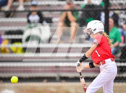 Thumbnail 2 in Santo @ Mineral Wells photogallery.