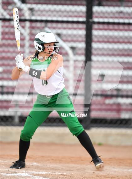 Thumbnail 3 in Santo @ Mineral Wells photogallery.