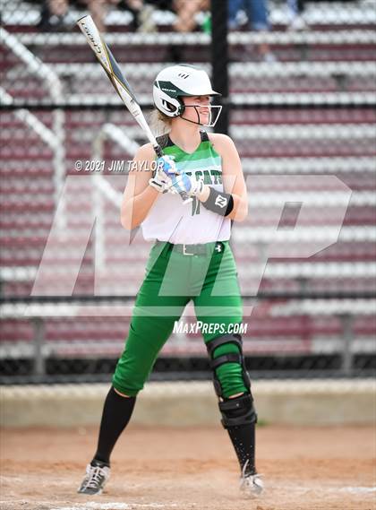 Thumbnail 3 in Santo @ Mineral Wells photogallery.