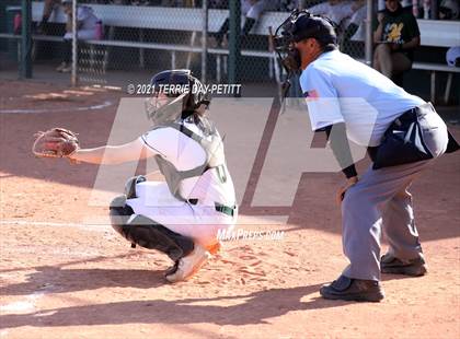 Thumbnail 2 in Cactus Shadows @ Horizon photogallery.