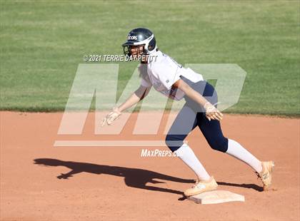Thumbnail 1 in Cactus Shadows @ Horizon photogallery.
