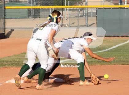 Thumbnail 2 in Cactus Shadows @ Horizon photogallery.