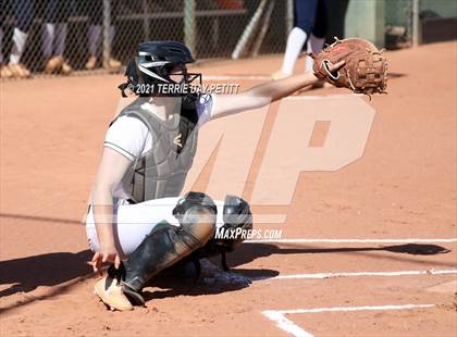 Thumbnail 1 in Cactus Shadows @ Horizon photogallery.