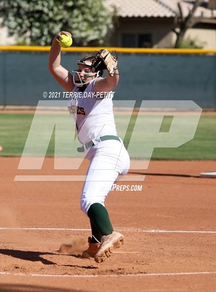 Thumbnail 2 in Cactus Shadows @ Horizon photogallery.