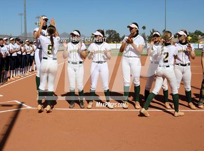 Thumbnail 1 in Cactus Shadows @ Horizon photogallery.