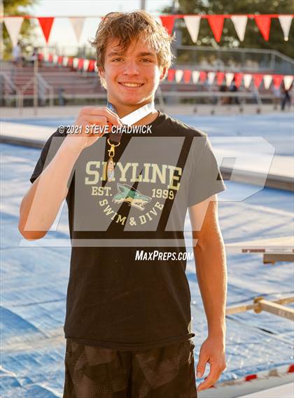 Thumbnail 2 in AIA Division 1-3 Diving State Championships  (Awards) photogallery.