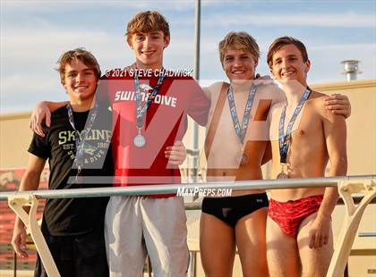Thumbnail 1 in AIA Division 1-3 Diving State Championships  (Awards) photogallery.